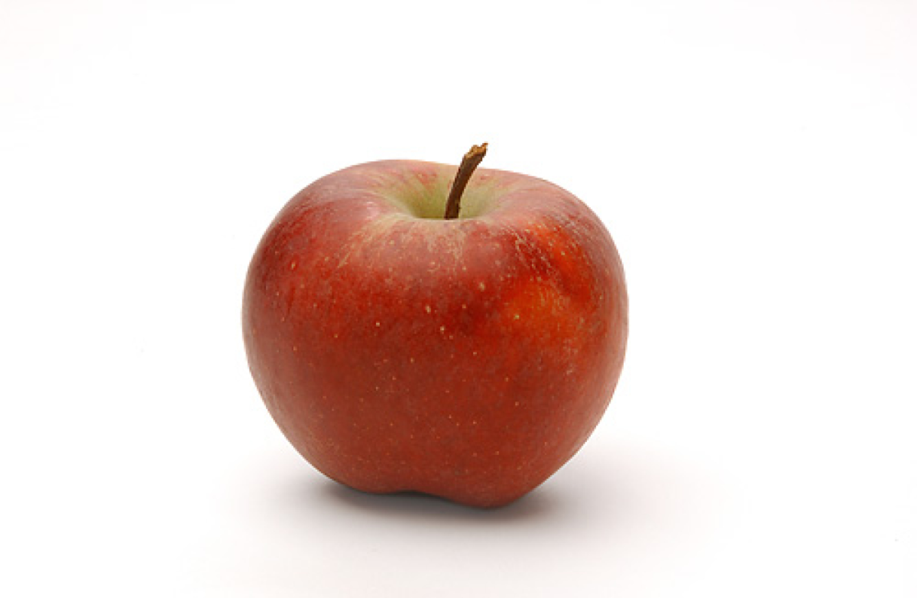 Apfel Elstar (süß-säuerlich)