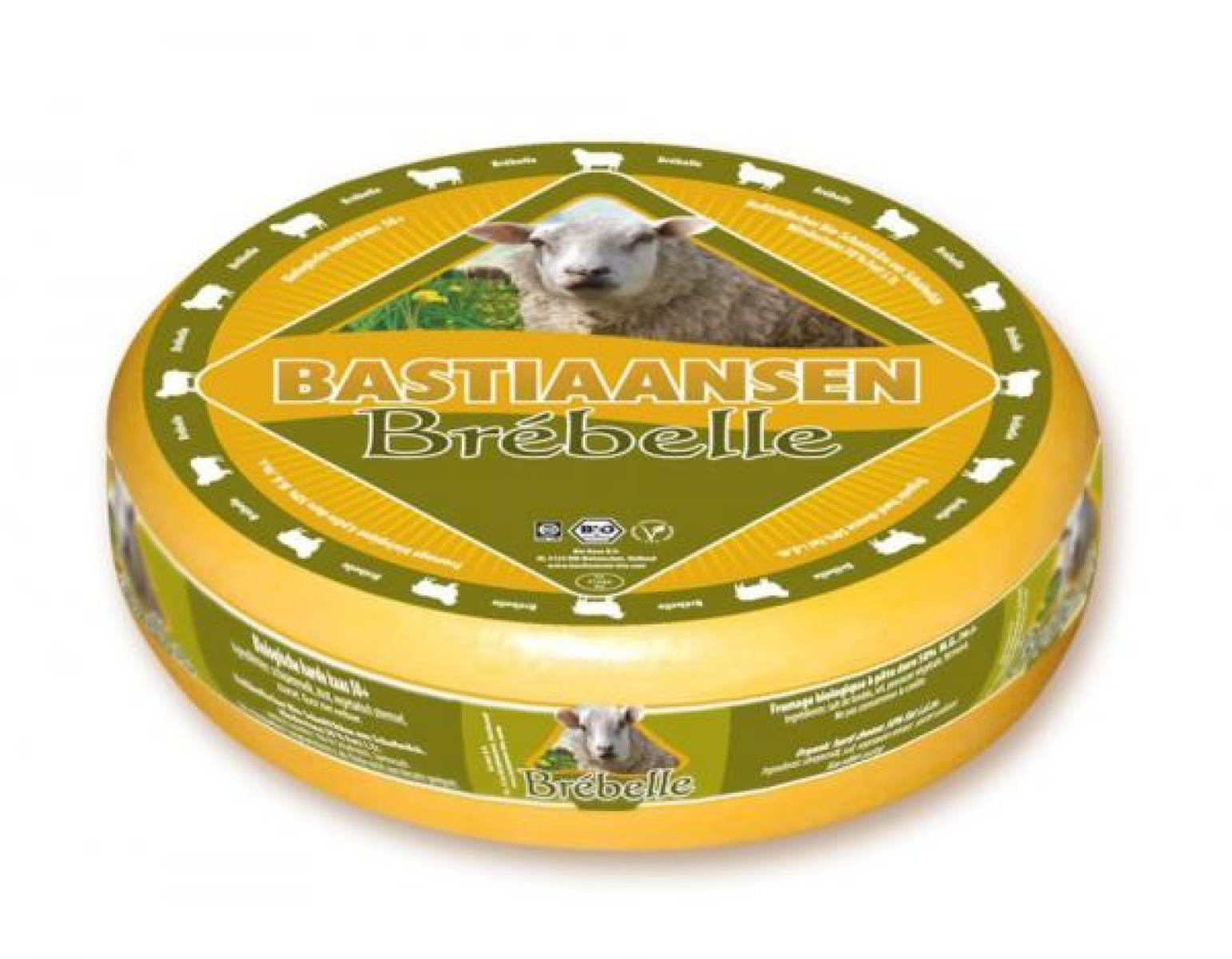 Brébelle,Schafgouda jung