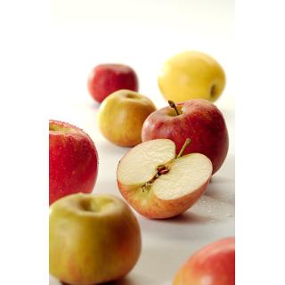 Apfel Topaz (säuerlich) Bioland regional