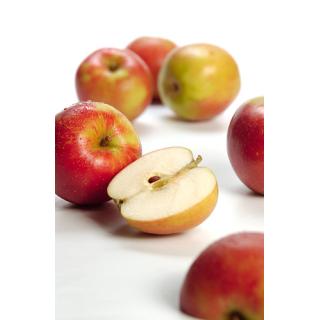 Apfel Deljonka (süss-säuerlich) Bioland Regional