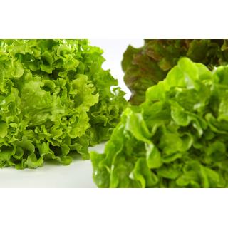 Salat divers