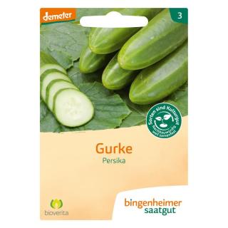 Freilandgurke Persika