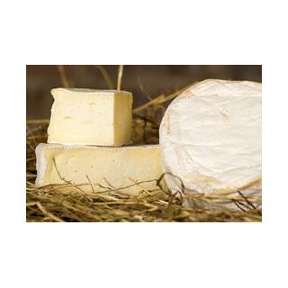 Bollheimer weisser Weichkäse