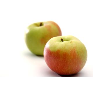 Apfel Sansa (süss-säuerlich) Bioland Regional
