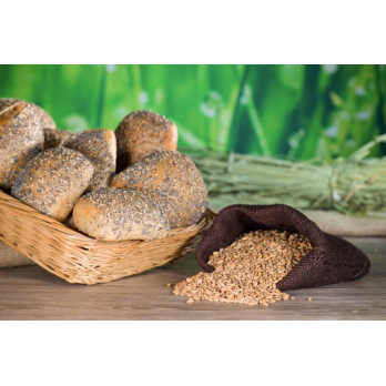 Dinkel-Vital-Brötchen