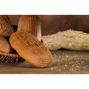 SchilfRoggenBrot