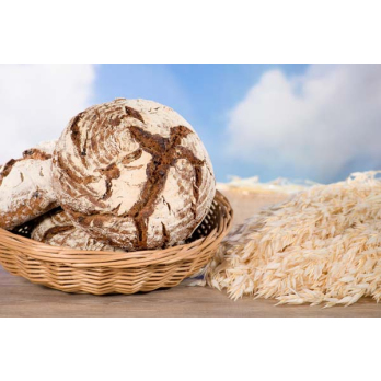 PflaumeWalnussBrot