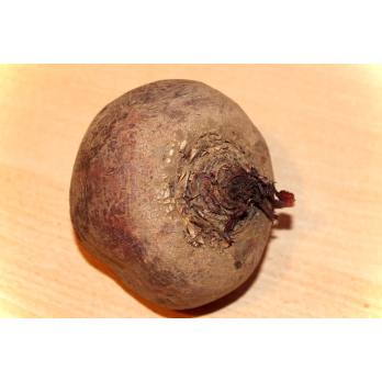 Rote Bete