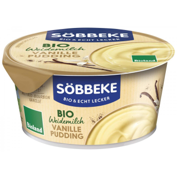 Vanille-Pudding