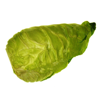 Spitzkohl