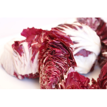 Radicchio