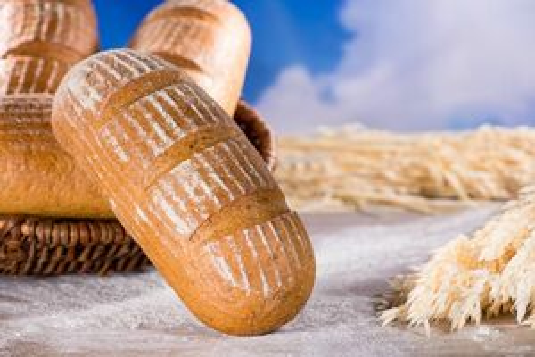 Graubrot