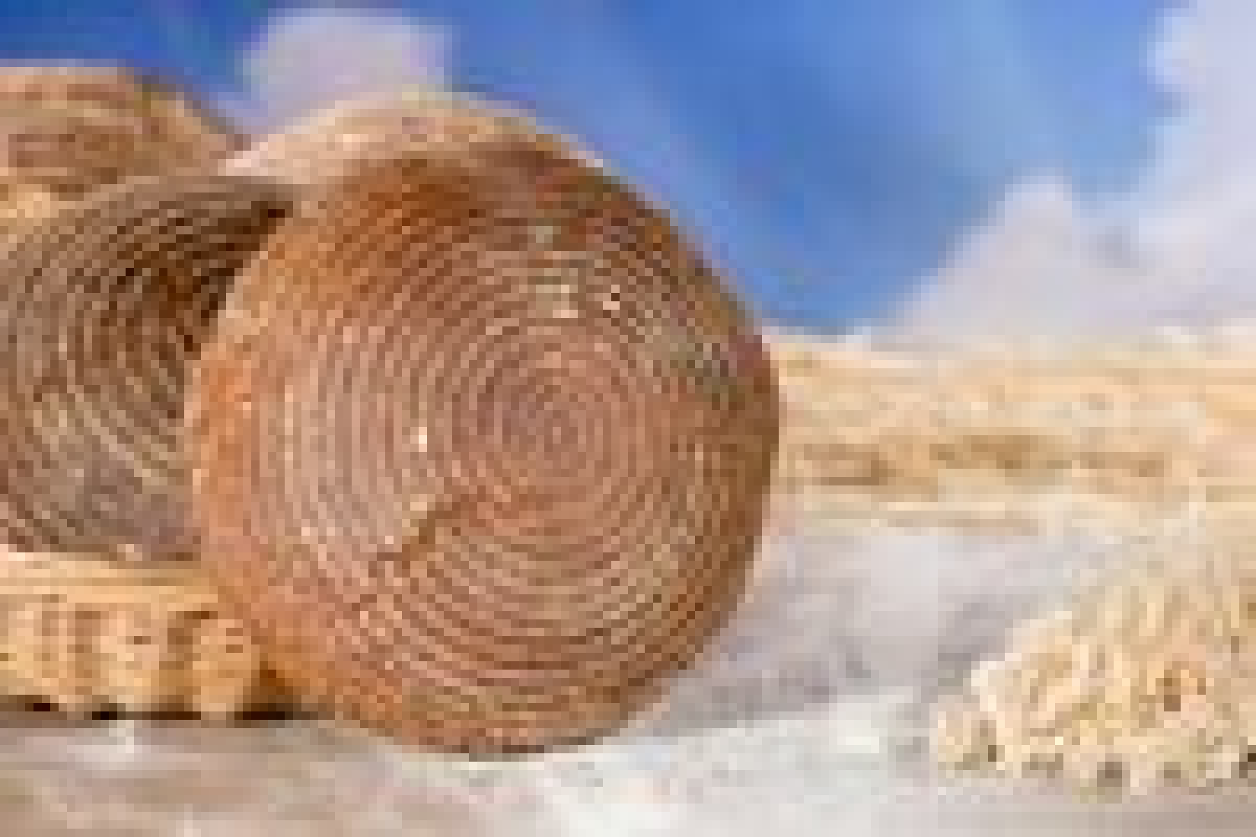 SteinofenBrot