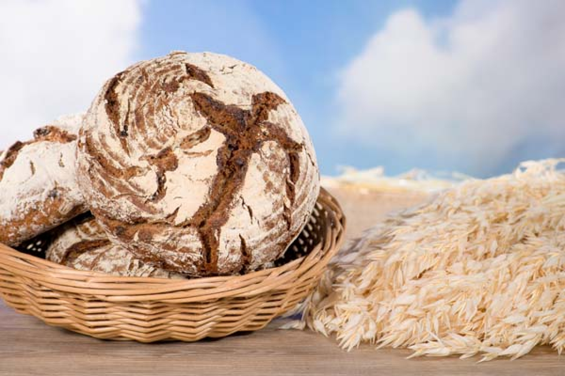 PflaumeWalnussBrot