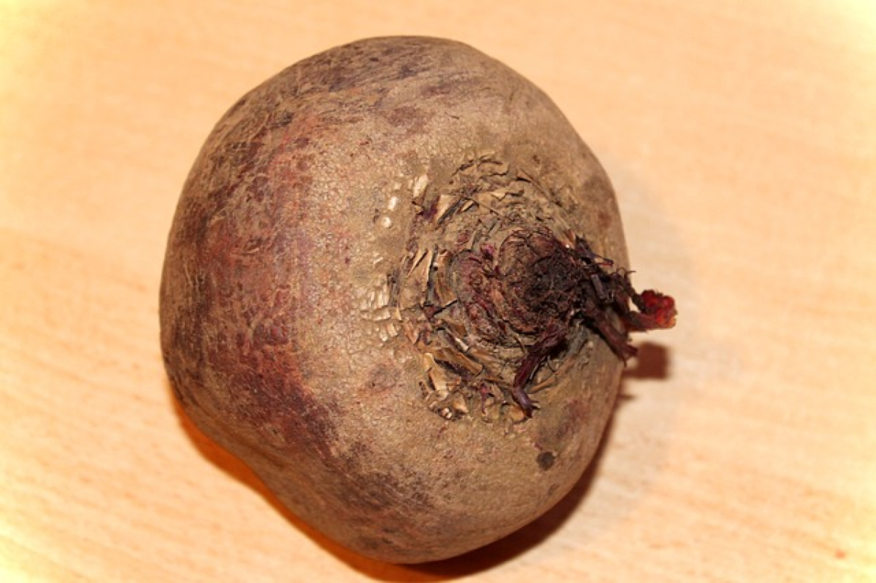 Rote Bete