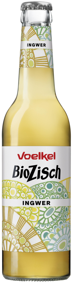 Bio Zisch Ginger Life