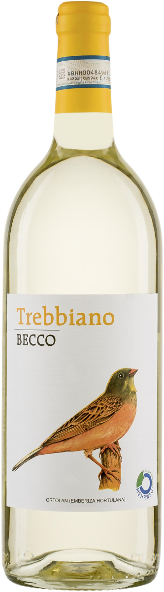 Becco Trebbiano