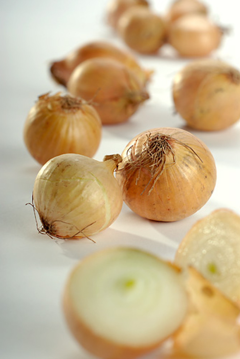 Zwiebel gelb