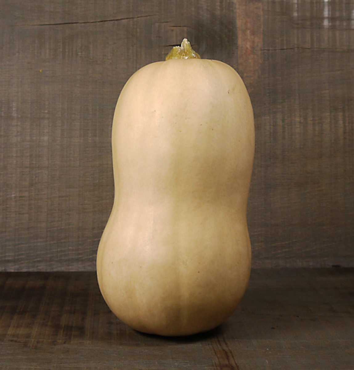 Kürbis Butternut