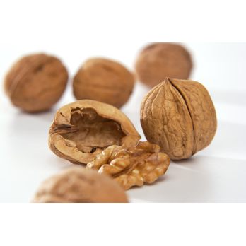 Walnüsse -neue Ernte-