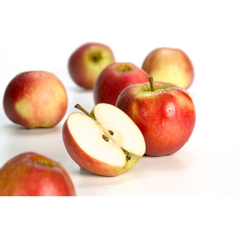 Apfel Elise (süß-säuerlich) (Allergiker*innen geeigenet)