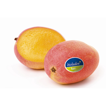 Mango Kent