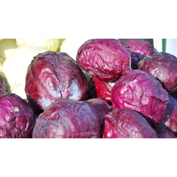 Rotkohl