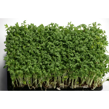 Kresse Bioland Deutschland