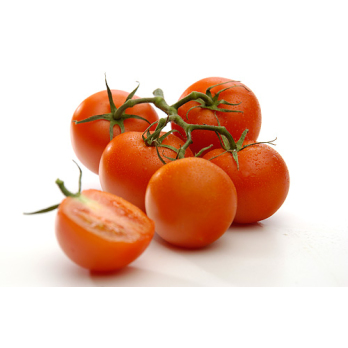 Tomaten Strauchtomaten